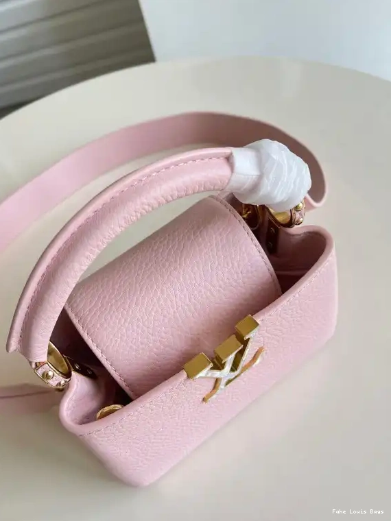 Fake Louis Bags LOUIS VUITTON MINI CAPUCINES 0531